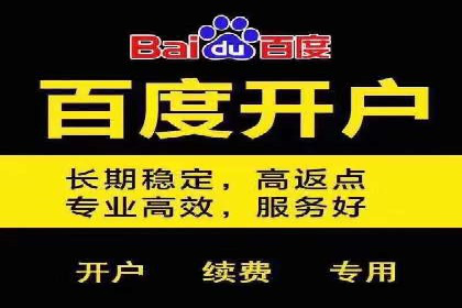 电商平台信息流广告的创意与执行案例分析